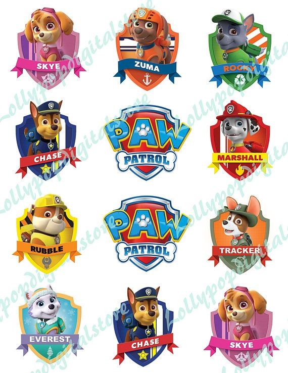 PAW PATROL медали 21г 24