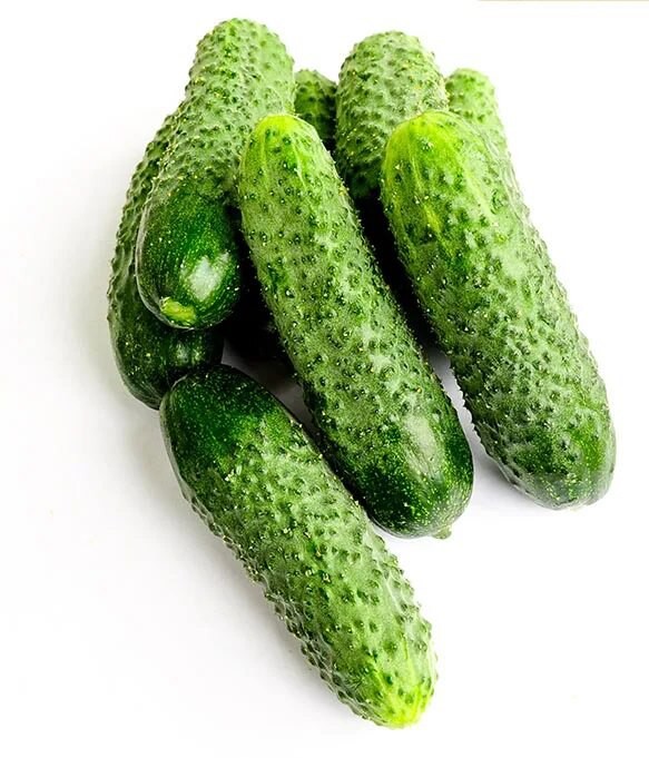 Огурцы маша местные вес